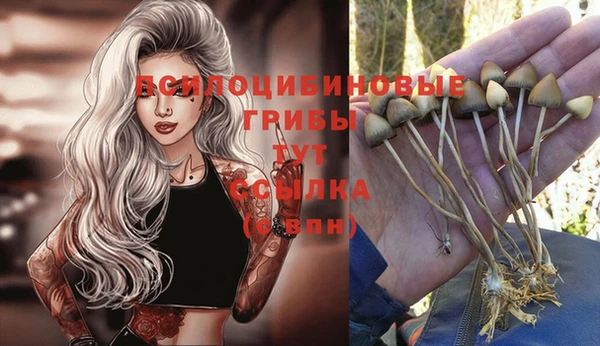 ALPHA PVP Белоозёрский