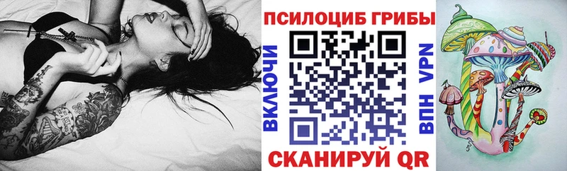 где найти   Кубинка  Псилоцибиновые грибы мухоморы 